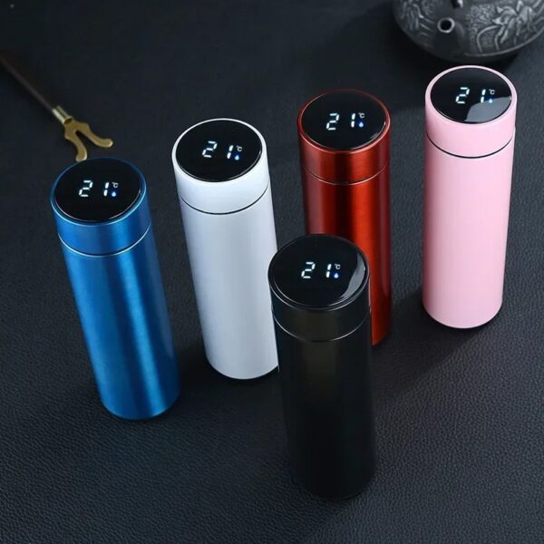Vacuum Temperature Water Bottle